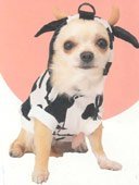 Cow Costume (Size 0)