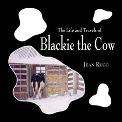 Blackie the Cow
