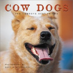 Cow Dogs: A Cowboy's Best Friend