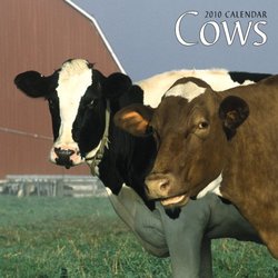 Cows 2010 Square Wall (Multilingual Edition)
