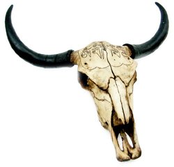 Southwestern Cow Steer Skull Wall Hanging LifeLike