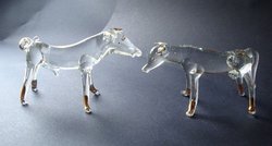Blow Glass Bull and Cow Pair Figurines 2.5h'-3.5'w
