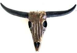 Cow Skull, Wall Decor