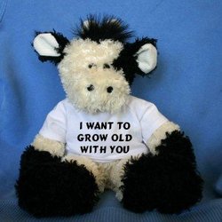 Plush Cow toy with I Love Aelwen t-shirt