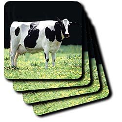 Holstein Cow - Set Of 4 Coasters - Soft