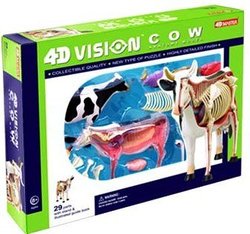 4d Vision Cow Anatomy Model Kit