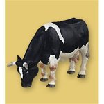 Black&White Grazing Cow w/ Bell PPO51015