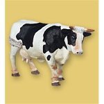Black & White Standing Cow PPO51016